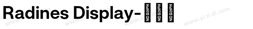 Radines Display字体转换 Radines Display字体转换